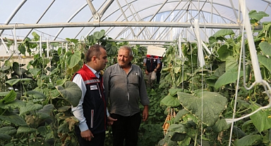 Seraların üretim kapasitesi artırılıyor