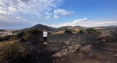 TEMA Vakfı'ndan Yangın Bölgesine İnceleme