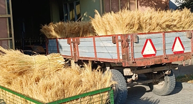 YENİ MAHSUL SÜPÜRGE TELİ BORSADA