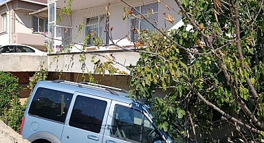 Araç evin bahçesine düştü