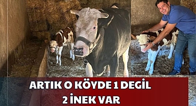 ARTIK O  KÖYDE 1 DEGİL, 2 İNEK VAR