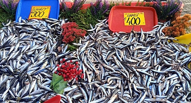 BALIK FİYATLARI DÜŞÜŞE GEÇTİ