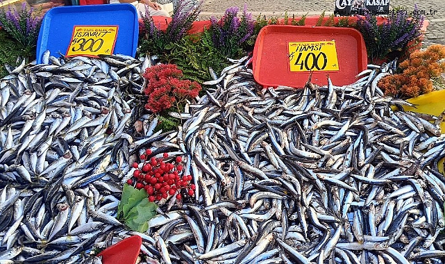 BALIK FİYATLARI DÜŞÜŞE GEÇTİ