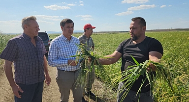 ÇELTİK ÜRETİCİSİNİ ÜZMEYİN