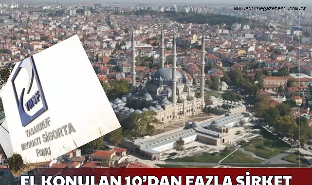 El konulan 10’dan fazla şirket Trakya’da