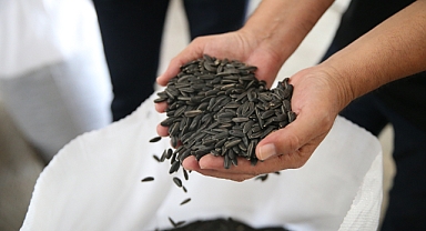 'Karaduman' Üreticinin Yeni Gözdesi Olacak