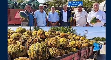 KAVUNDA VERİMDE YOK, FİYATTA YOK!