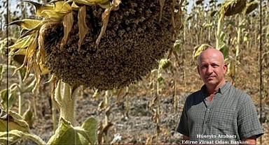 KURAKLIK VERİMİ DÜŞÜRDÜ