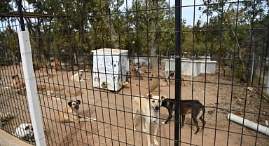 TÜRKİYE’YE ÖRNEK BARINAK 