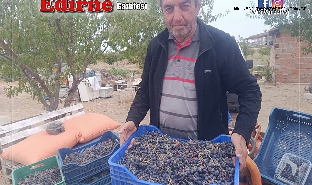 YURDUN HER YERİNE KARGOYLA ARONYA GÖNDERİLİYOR