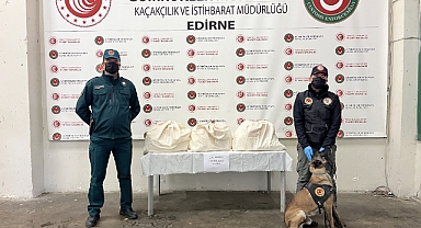 “Alfa” Kokaini Buldu