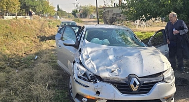 Araç Pert, Aile Şans Eseri Kurtuldu