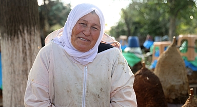 Arılarla 30 Yıllık Dostluk