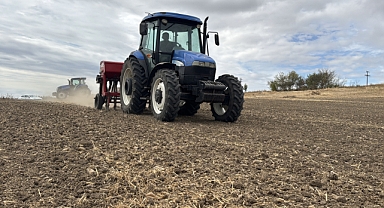 AYÇİÇEĞİ OUT KANOLA İN