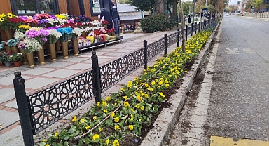 Edirne Çiçek Açacak