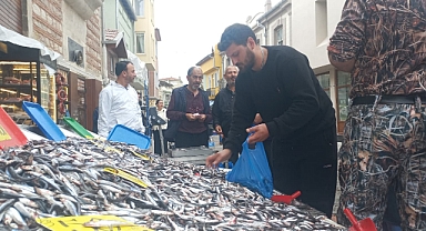 Edirne'de Hamsi Bereketi