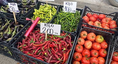 Karaağaç Biberi Rekora Koşuyor