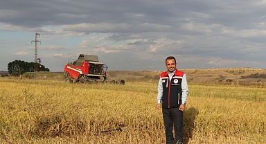 Köse, çeltik hasadına katıldı
