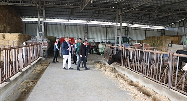 Köse, hayvancılık işletmesini ziyaret etti