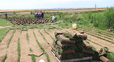 Şehirden doğal açık hava fabrikasına