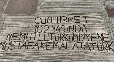 Tarlasına
