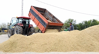 Trakya'da hasat tamam