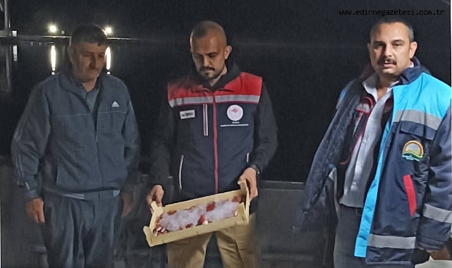 Trol Gemilerine Denetim