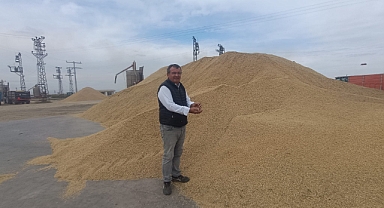 Yerli tohumla yüksek verim