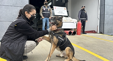 19 kilo 692 gram esrar ele geçirildi