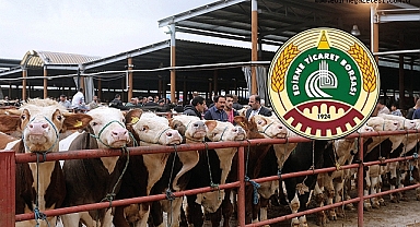 Canlı Hayvan Satışları Yeniden Başlıyor