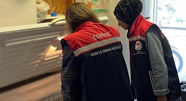 GIDA İŞLETMELERİNE DENETİM