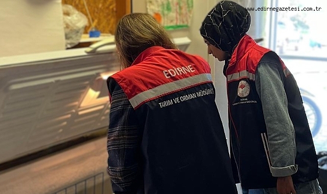 GIDA İŞLETMELERİNE DENETİM