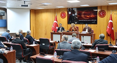 İl Genel Meclisi'nden Ormanlara Sahip Çıkma Çağrısı