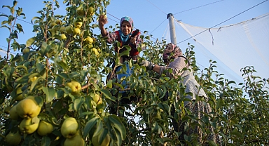 Meyve Bahçeleri Gelir Kapısı Oldu