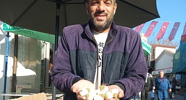 Sarımsakta Fiyat 150 TL’ye Çıktı: “Havalar Soğuyunca Yeniden Zam Gelebilir”