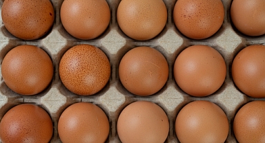 Yumurta Fiyatları Uçmaya Devam Edecek