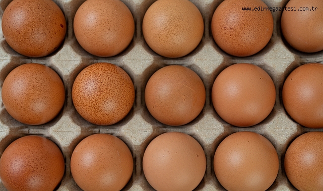 Yumurta Fiyatları Uçmaya Devam Edecek