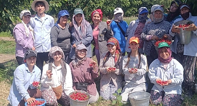 Çeribaşı Kirazı Coğrafi İşaret Aldı