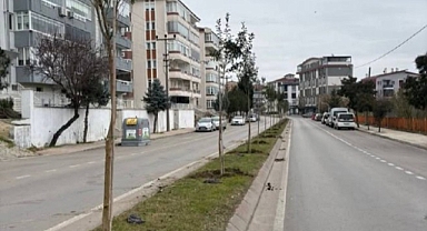 Edirne’de Yeşil Alanlar Güçleniyor