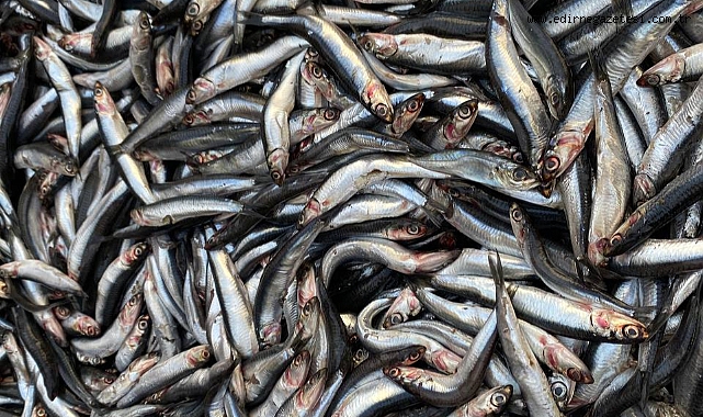 Fiyatlar Yüzleri Güldürüyor