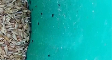 “İlaç var ama kimse satmıyor”