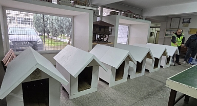 Meslek lisesi öğrencileri sokak hayvanlarına destek oldu