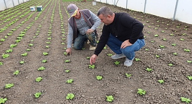 Modern Seralar Üreticiyle Buluştu