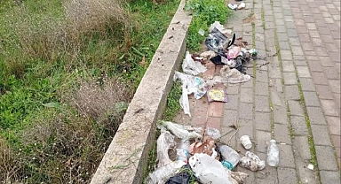 PARKLARDAKİ KİRLİLİK BELEDİYEYİ BEZDİRDİ