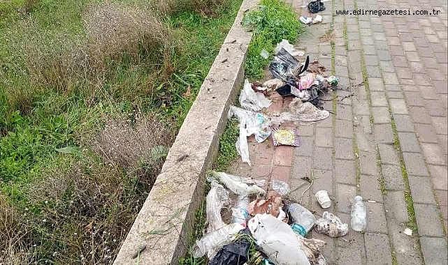 PARKLARDAKİ KİRLİLİK BELEDİYEYİ BEZDİRDİ