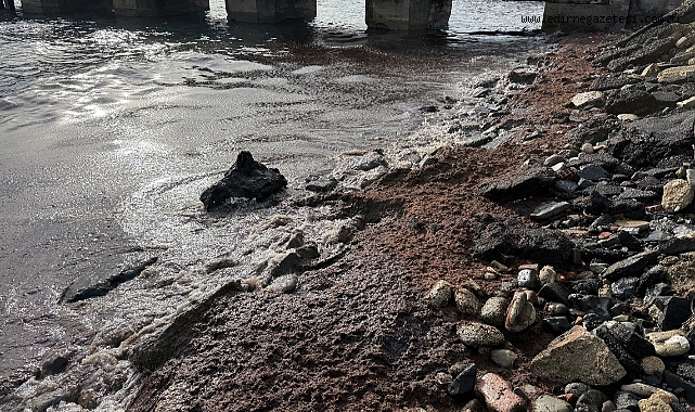  Poyraz nedeniyle sahilin bir kısmında kırmızı yosun birikti