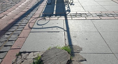 Saraçlar Caddesi’nde Kesilen Ağaç Kökü Vatandaşı Yaraladı