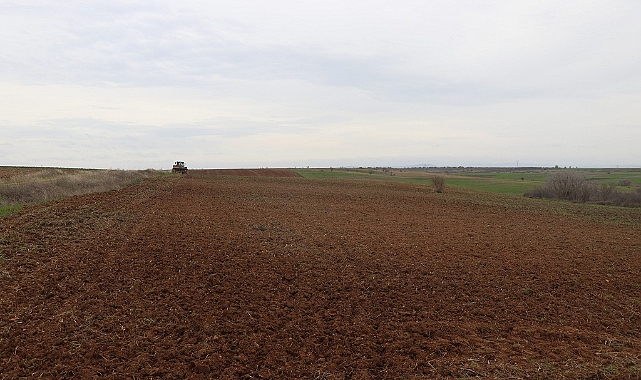 Suni mera alanları genişletiliyor