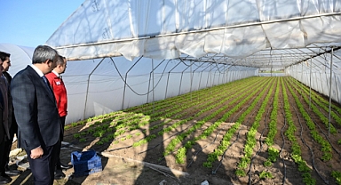 Vali Sezer’den Karaağaç’ta Sera Ziyareti