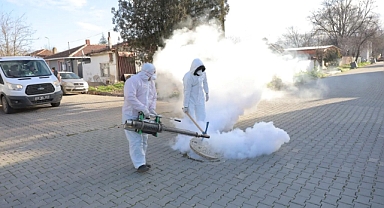 YAZ AYLARI ÖNCESİ HAŞEREYLE MÜCADELE ÇALIŞMALARI BAŞLADI